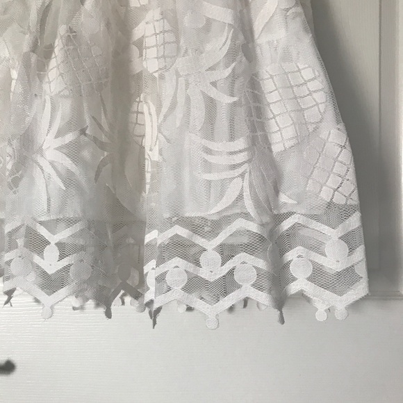 Anthropologie Lace Dress Pina Pineapple Fruit Fit and Flare Dress Women’s Size 2 - Picture 8 of 15